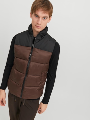 JACK & JONES Bodywarmer 'Toby' in Bruin