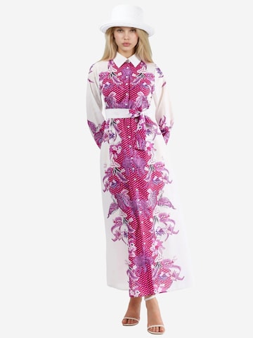MSN Collection Obleka | mešane barve barva