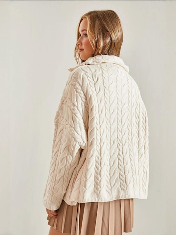 Bianco Lucci Pullover in Beige