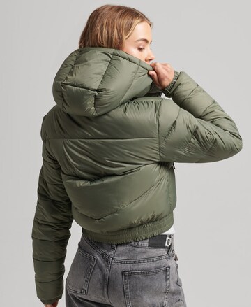 Superdry Tussenjas 'Fuji' in Groen