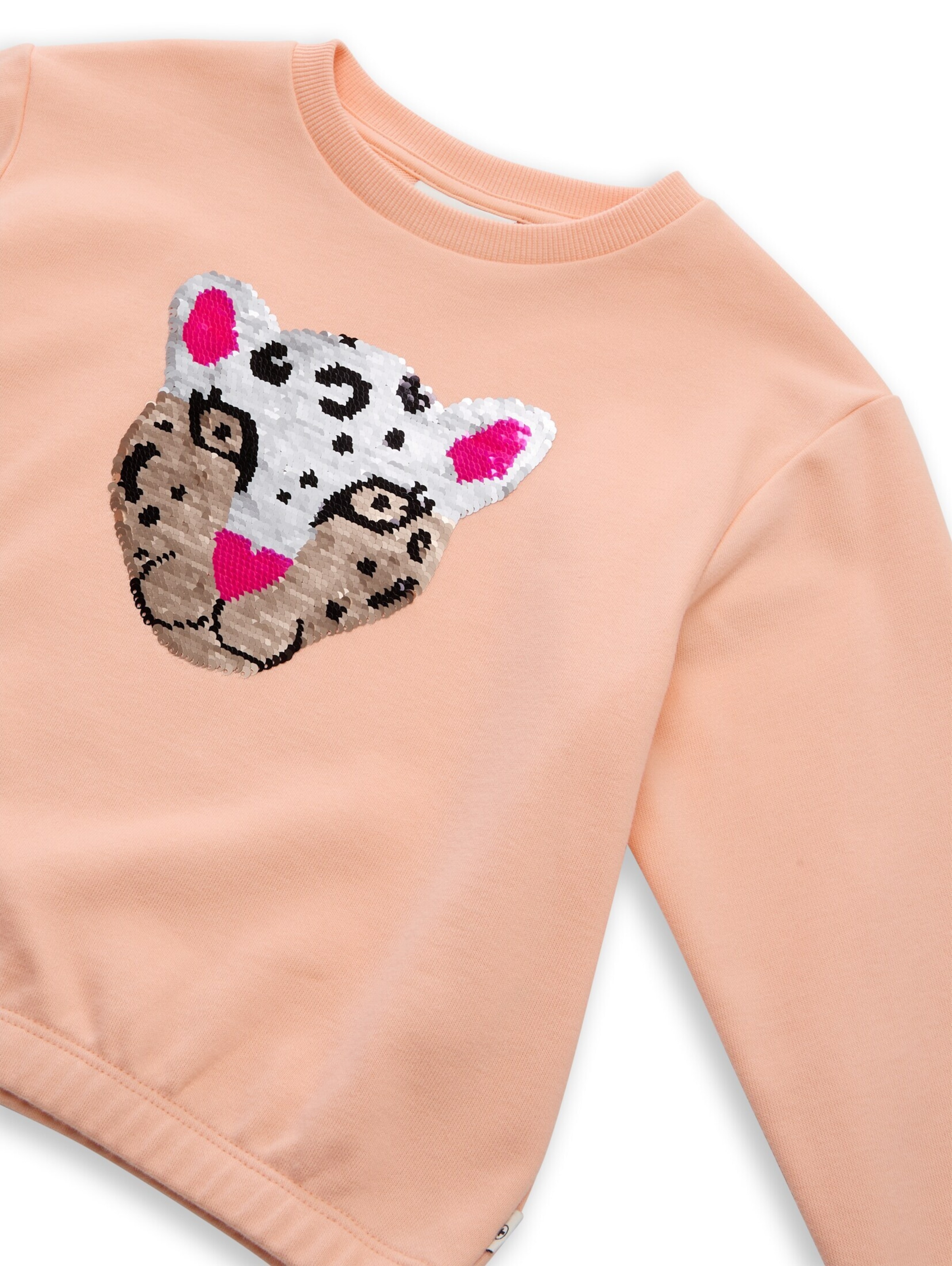 TOM TAILOR Sweatshirt in Orange