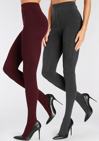 LASCANA Tights in Grey: front