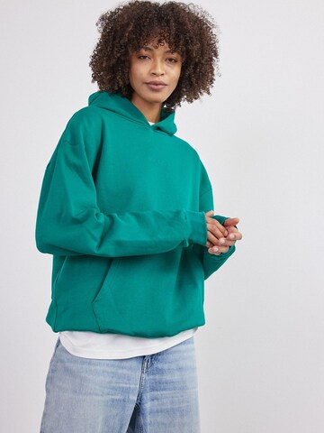 BEARTH Sweatshirt 'Hoodie Bio-Baumwolle' in Green: front