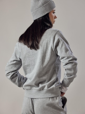 OWN Off With Nature Sweatshirt 'Felpa Felpata Girocollo' in Grijs