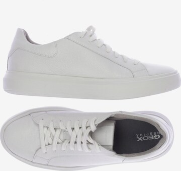 GEOX Sneakers & Trainers in 42 in White: front