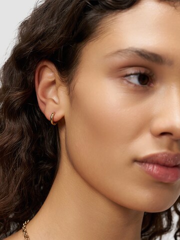 Liebeskind Berlin Earrings 'Heart' in Gold