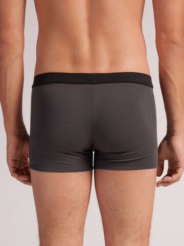 INTIMISSIMI Boxershorts in Grau