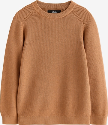 Next Trui in Bruin: voorkant