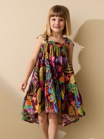 Next Jurk in Gemengde kleuren