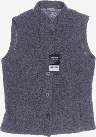 Rabe Vest in L in Grey: front