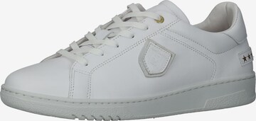 Sneaker bassa 'Paterno' di PANTOFOLA D'ORO in bianco: frontale