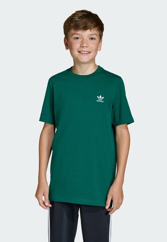 ADIDAS ORIGINALS Shirt 'Trefoil Essentials' in Green: front