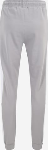 FILA Ozke Športne hlače 'TROPEA' | siva barva
