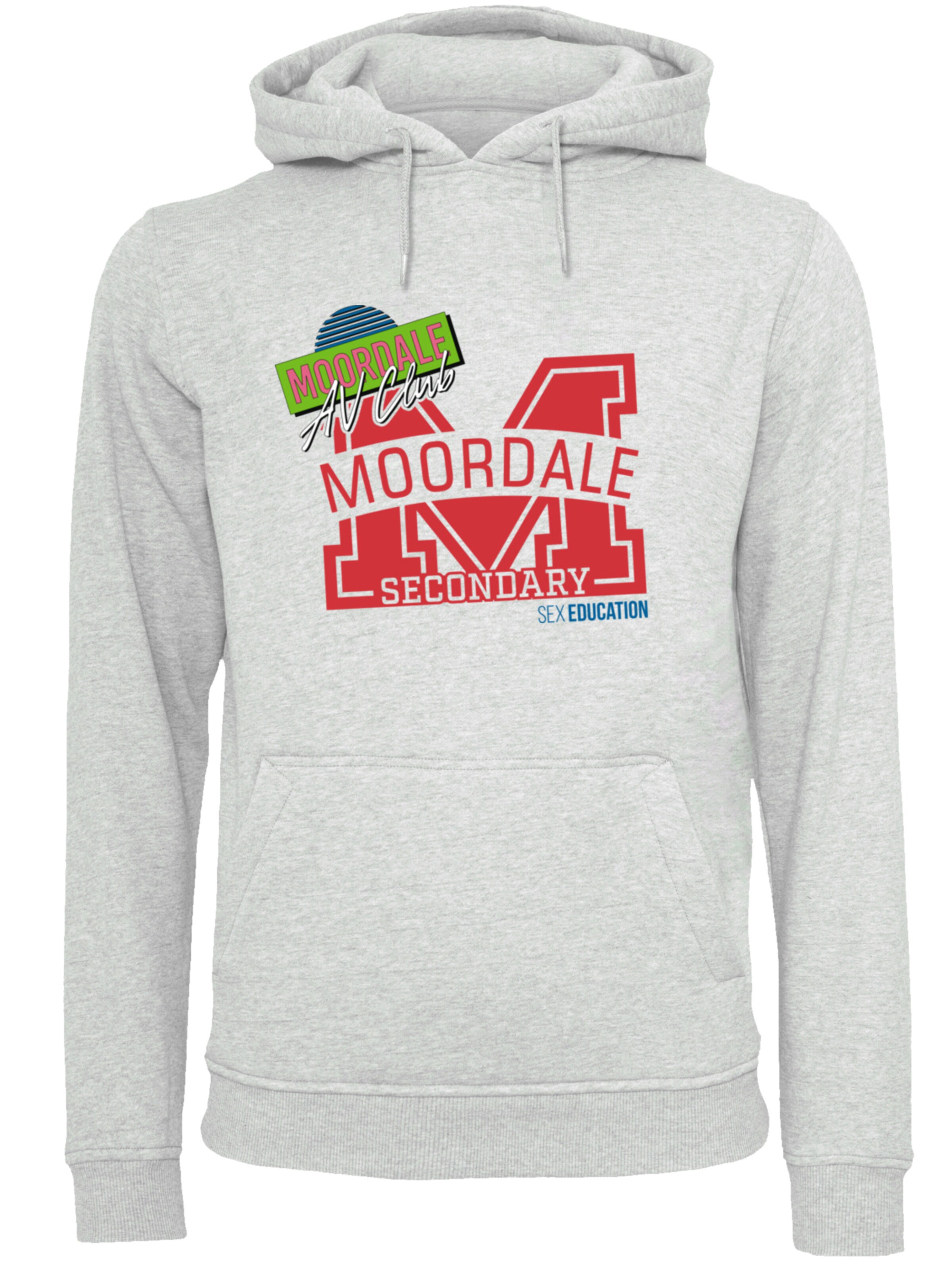 F4NT4STIC Sweatshirt in Grijs: voorkant