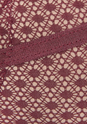 LASCANA Koszulkowy Biustonosz w kolorze fioletowy