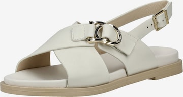 Sandales à lanières Nero Giardini en blanc : devant