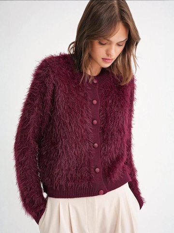 MixRay Gebreid vest in Rood