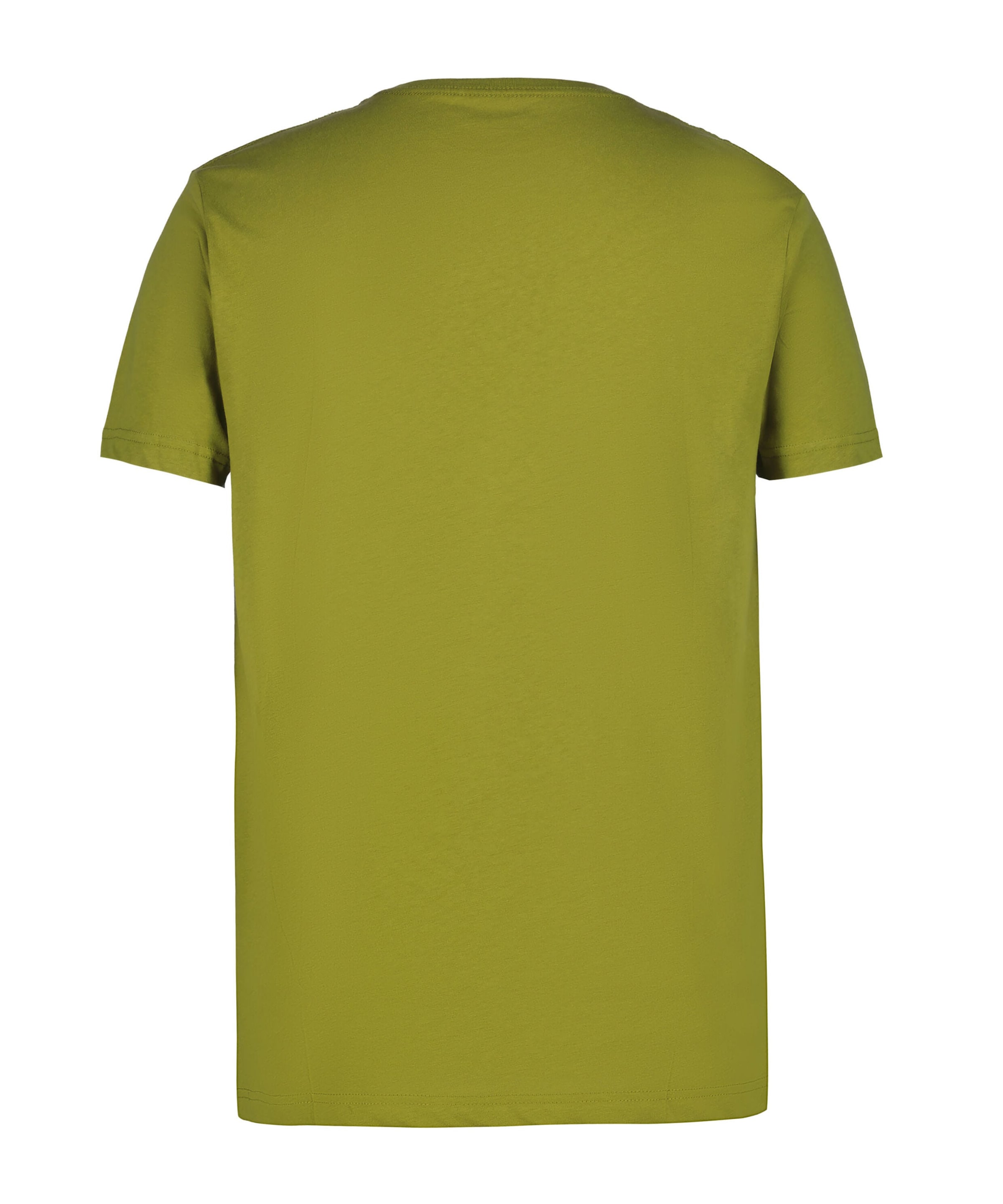ICEPEAK Shirt in Grün