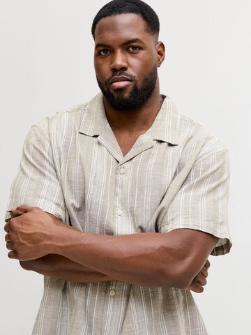 JACK & JONES Regular Fit Skjorte i grå