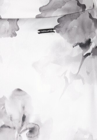 Jupe DreiMaster Klassik en gris