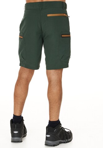 Whistler Regular Workout Pants 'Stian' in Green