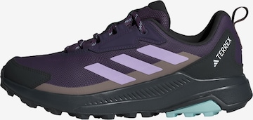 ADIDAS TERREX Low shoe 'Anylander' in Purple: front