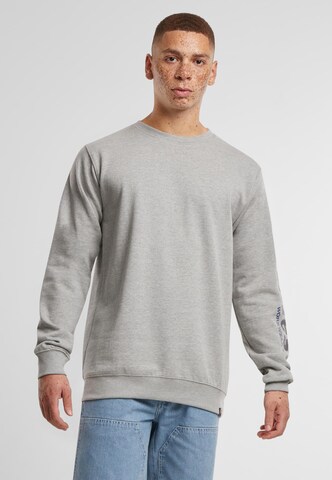 DICKIES Sweatshirt in Grau: Vorderseite