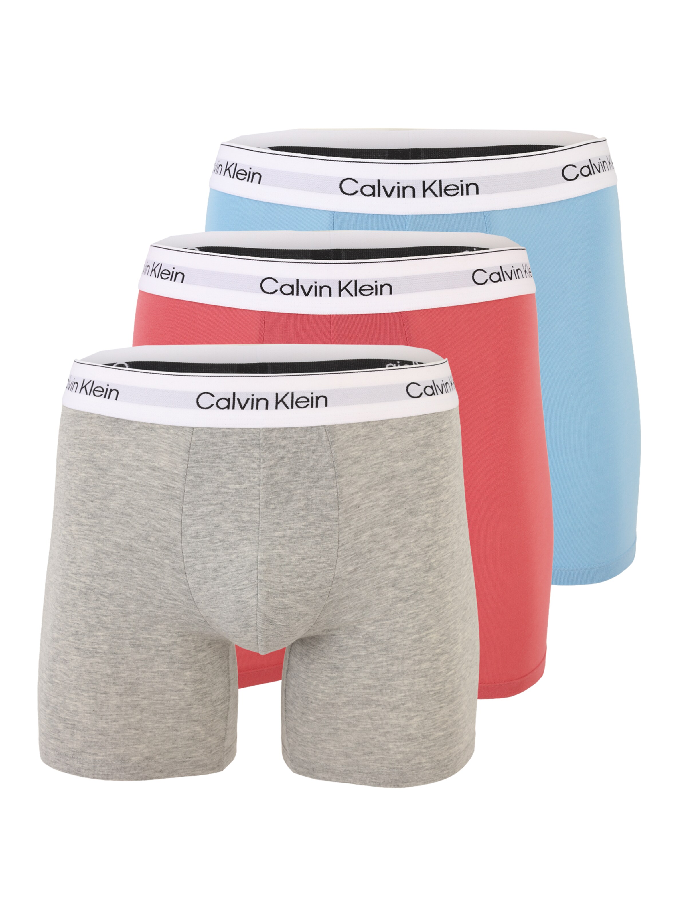 Calvin Klein Underwear Boxer shorts in Blue: front