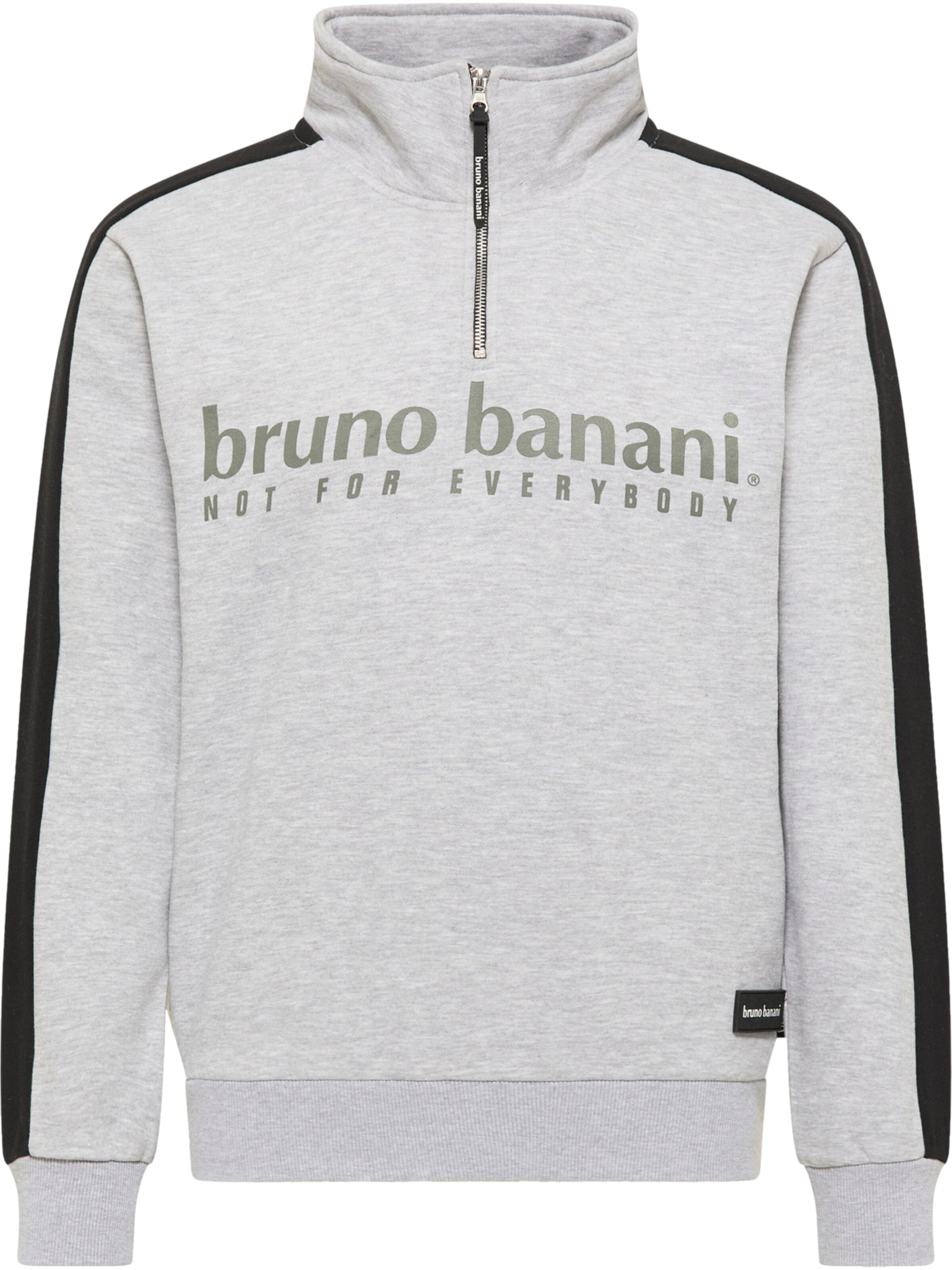 Bruno Banani Sweatshirt 'ANTHONY' in Grijs