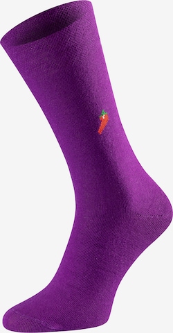 Chili Lifestyle Socken ' Giftbox Rainbow ' in Mischfarben