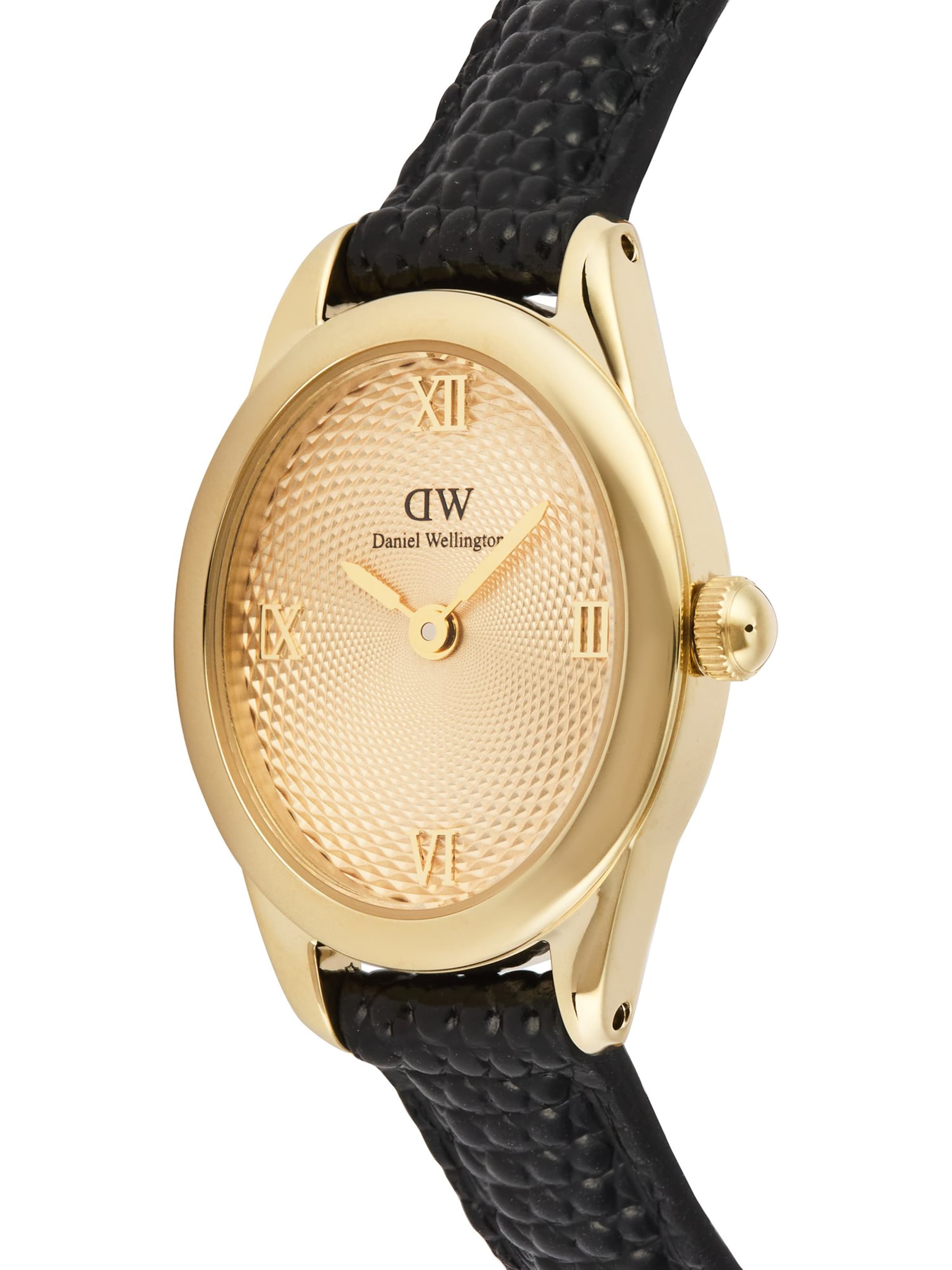Daniel Wellington Analoguhr in Gold
