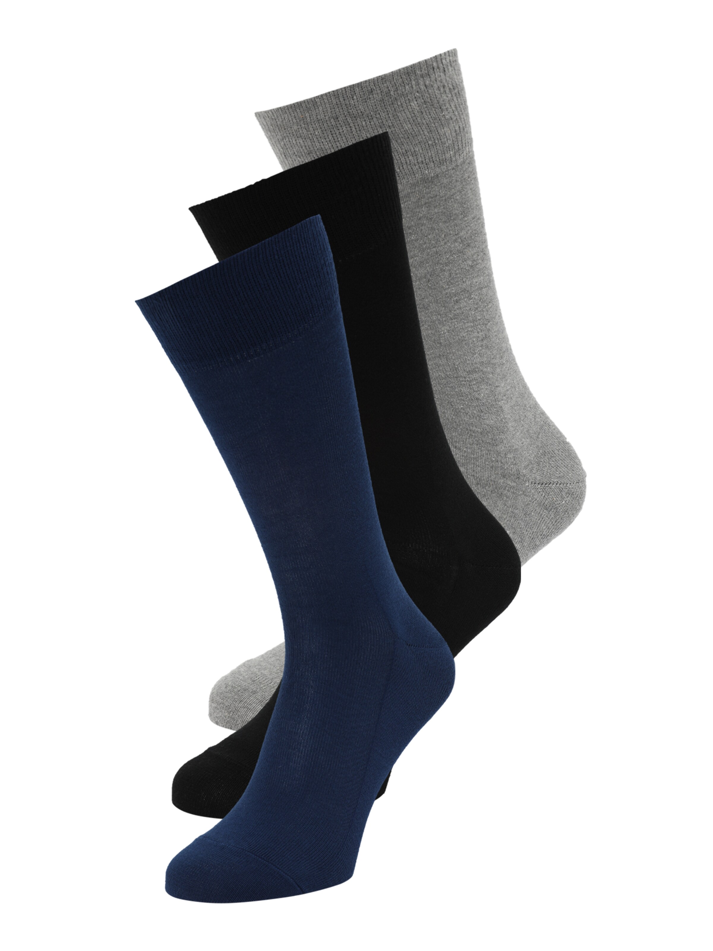 FALKE Socks 'Family' in Blue: front