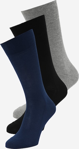 Chaussettes 'Family' FALKE en bleu : devant