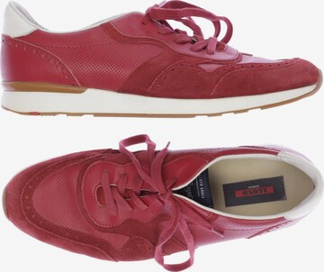 LLOYD Sneakers & Trainers in 43 in Red: front