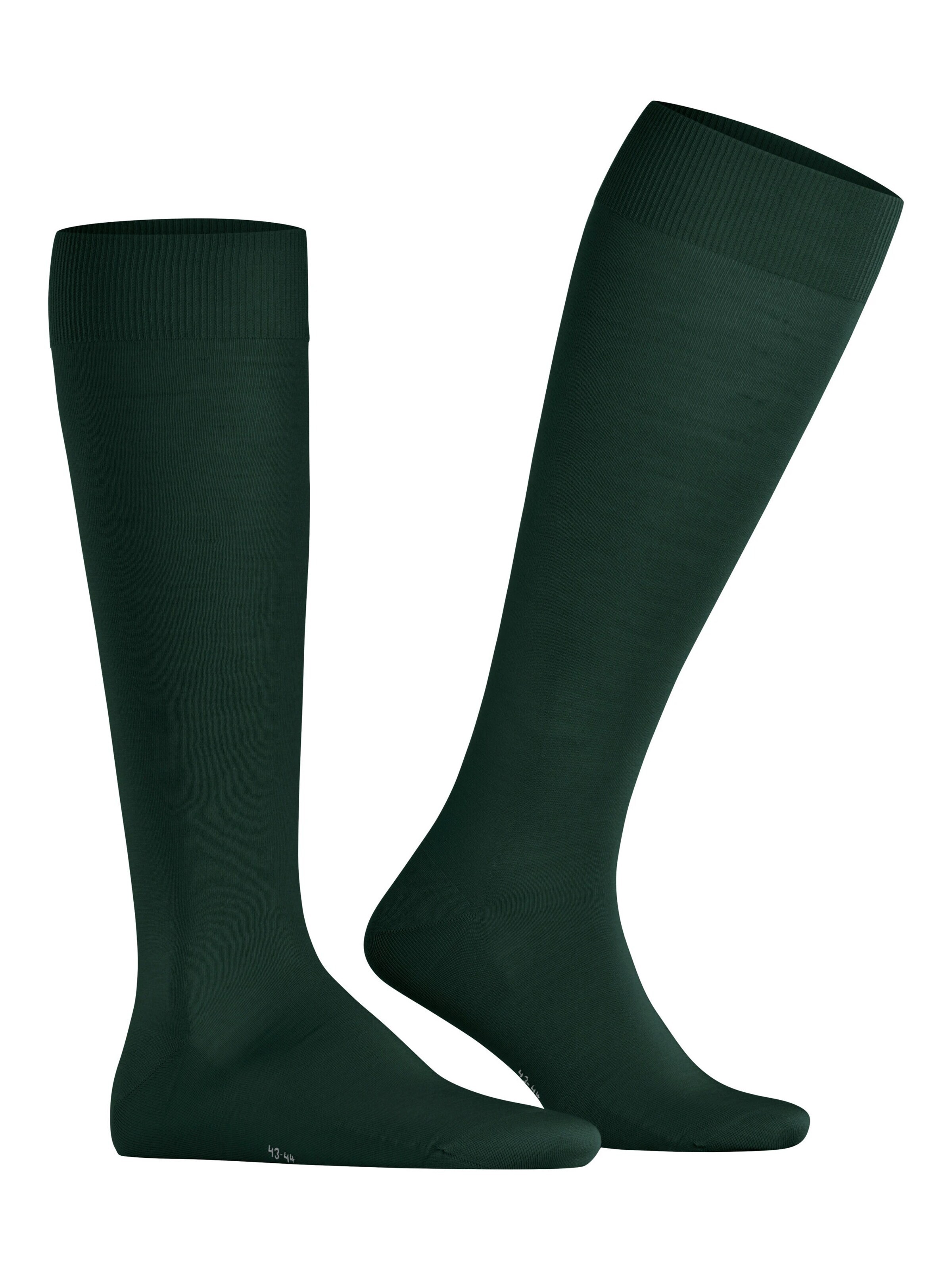 FALKE Knee High Socks 'ClimaWool' in Green