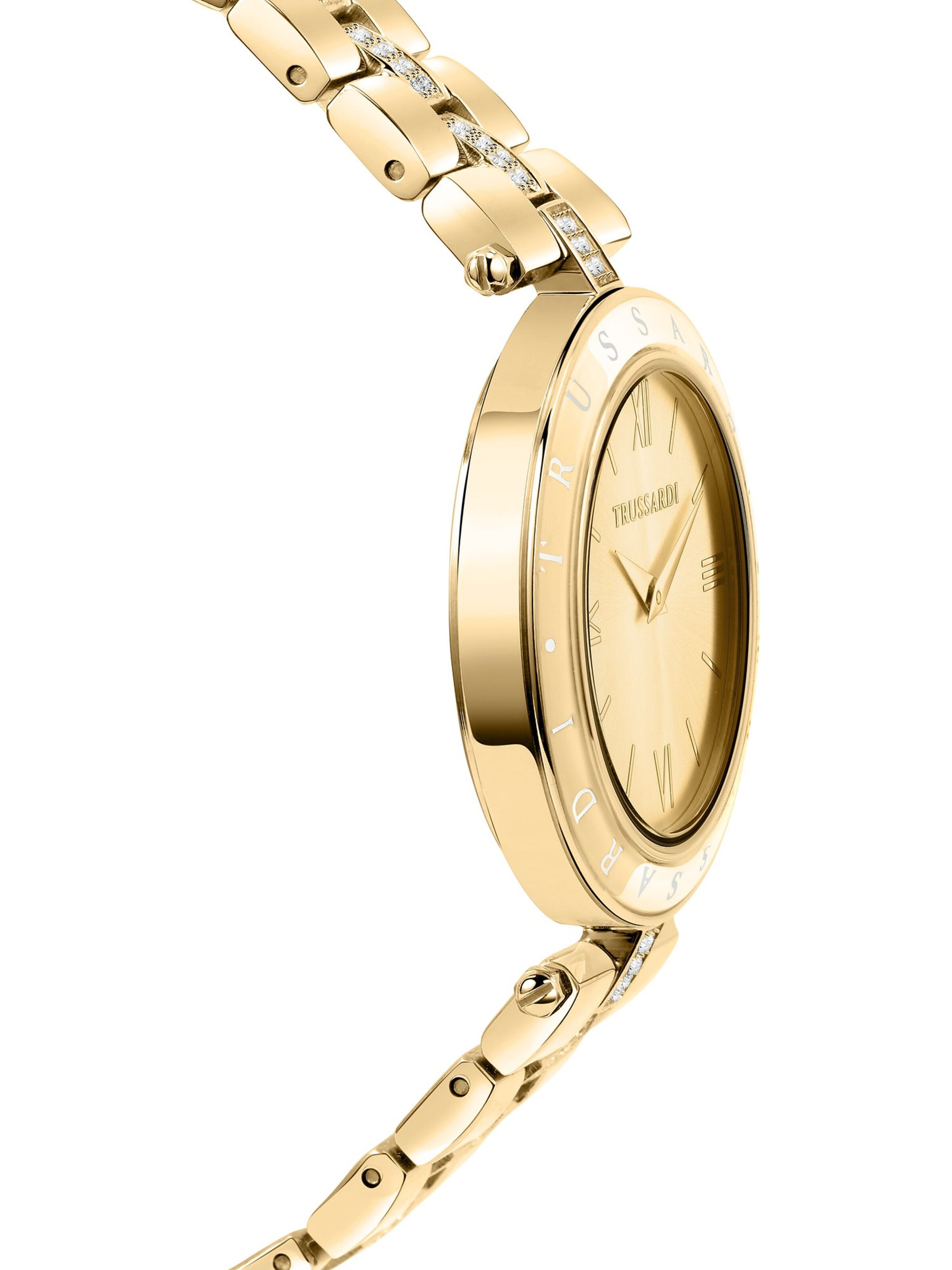 Trussardi Analog Watch in Gold