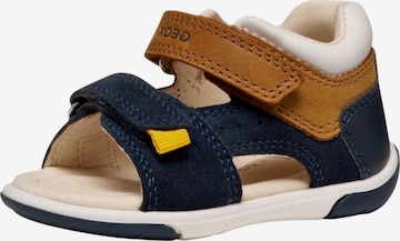 GEOX First-step shoe in Blue: front
