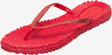 Infradito 'Cheerful 01' di ILSE JACOBSEN in rosso: frontale