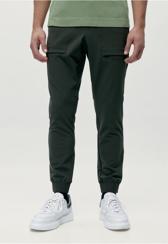 Born Living Yoga Tapered Trousers 'Tiber' in Green: front