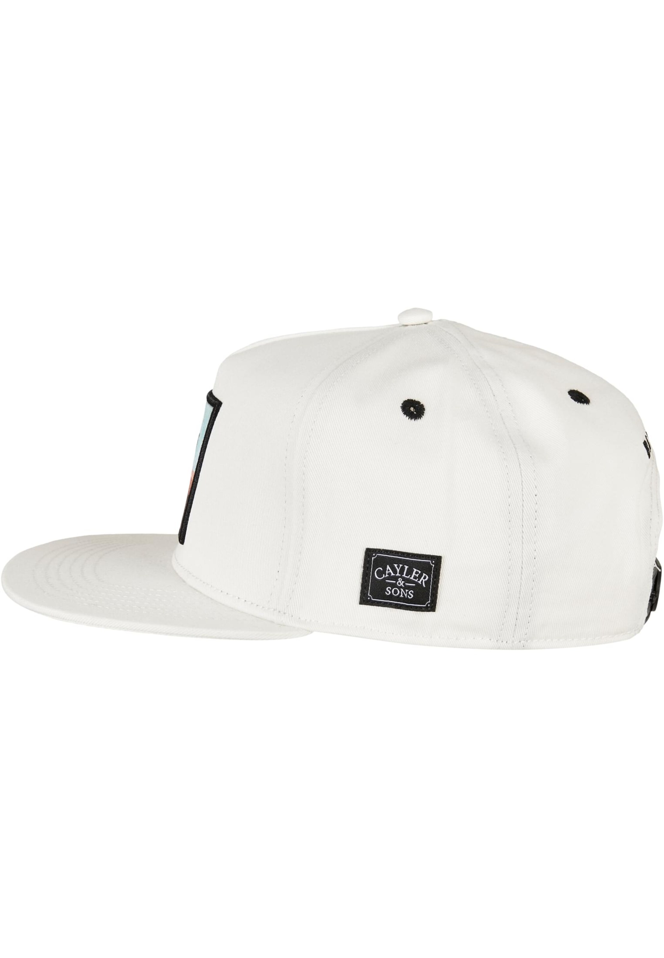 Cayler & Sons Pet 'Art Is Life' in Wit