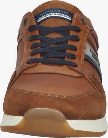 SALAMANDER Sneaker low in Braun