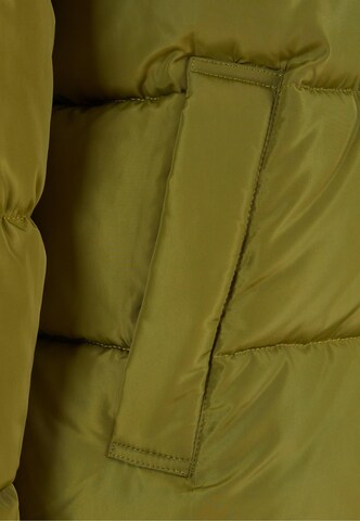 Veste d’hiver 'Retro Essential' Karl Kani en vert