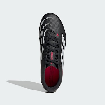 Chaussure de sport 'Predator Club' ADIDAS PERFORMANCE en noir