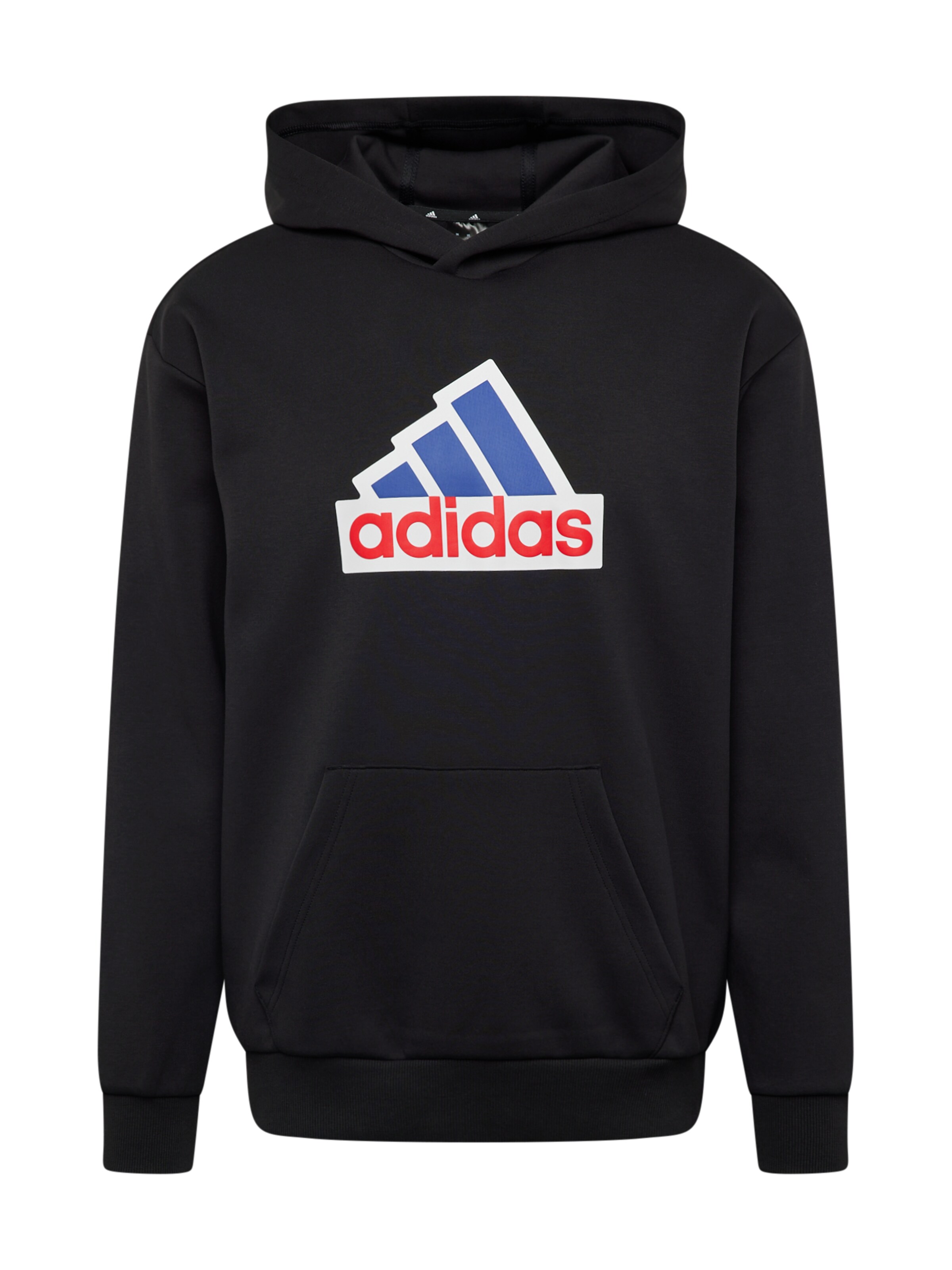 ADIDAS SPORTSWEAR Sweatshirt in Black: front