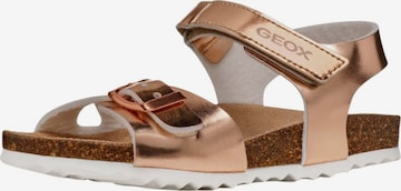 Sandalo di GEOX in oro: frontale