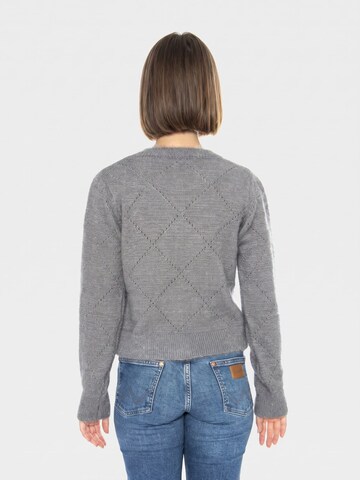 Cardigan wild pony en gris