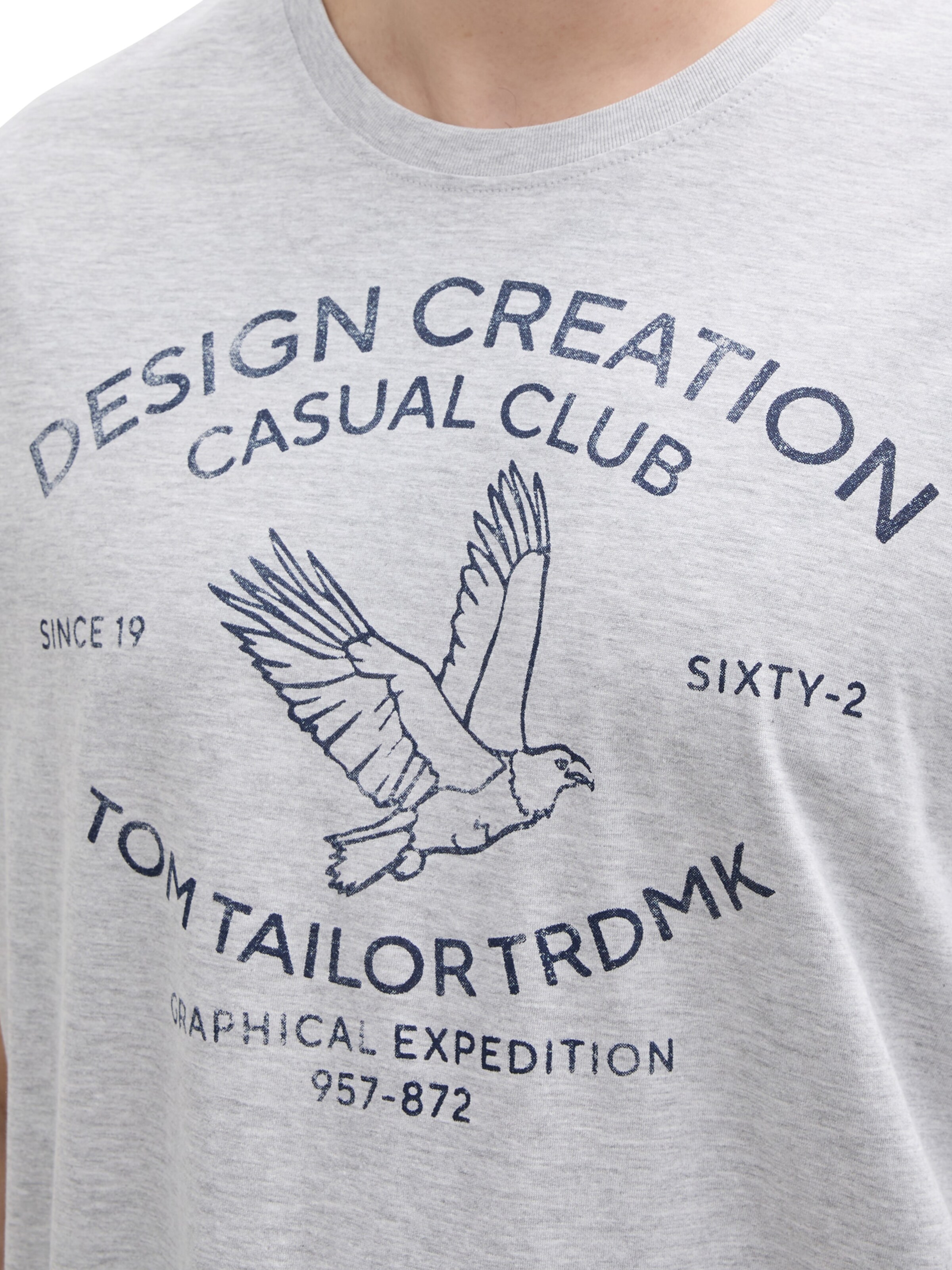 TOM TAILOR Men + Футболка в Серый