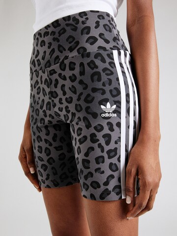 ADIDAS ORIGINALS Skinny Pants in Grey