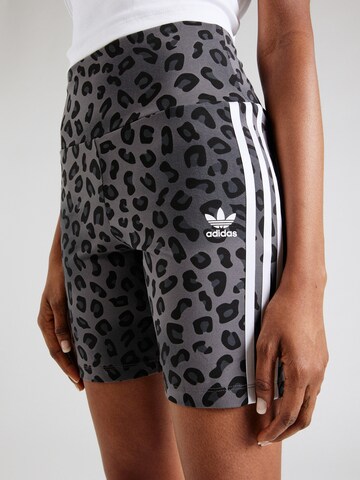 ADIDAS ORIGINALS Skinny Shorts in Grau