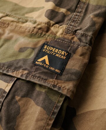 Regular Pantalon cargo Superdry en marron
